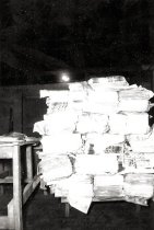 Shenandoah News Agency